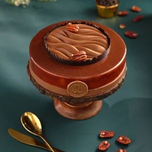 premium German chocolate Entremet